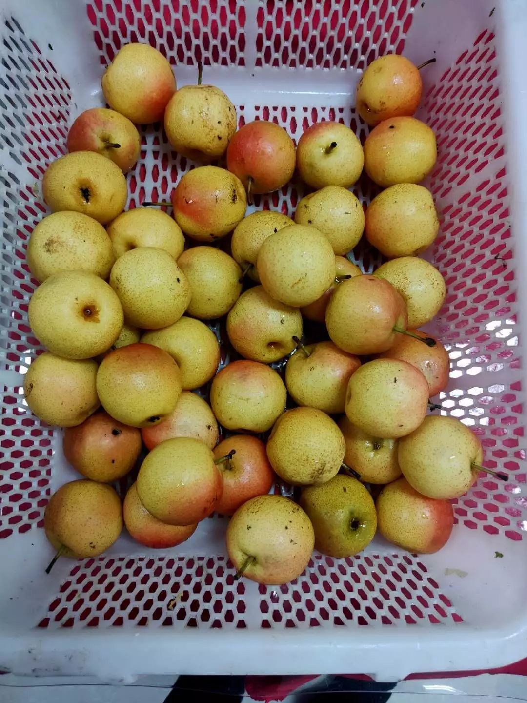 元宵佳节不离岗 守望安康和团圆(图8)
