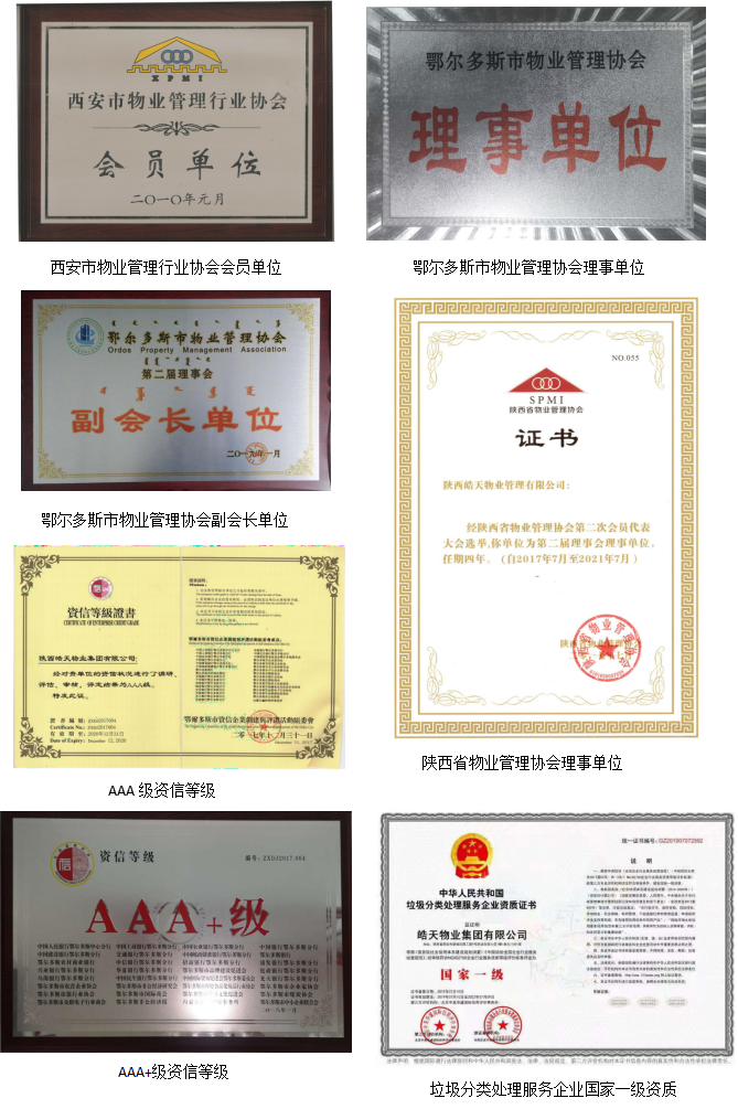 皓天荣誉(图7)
