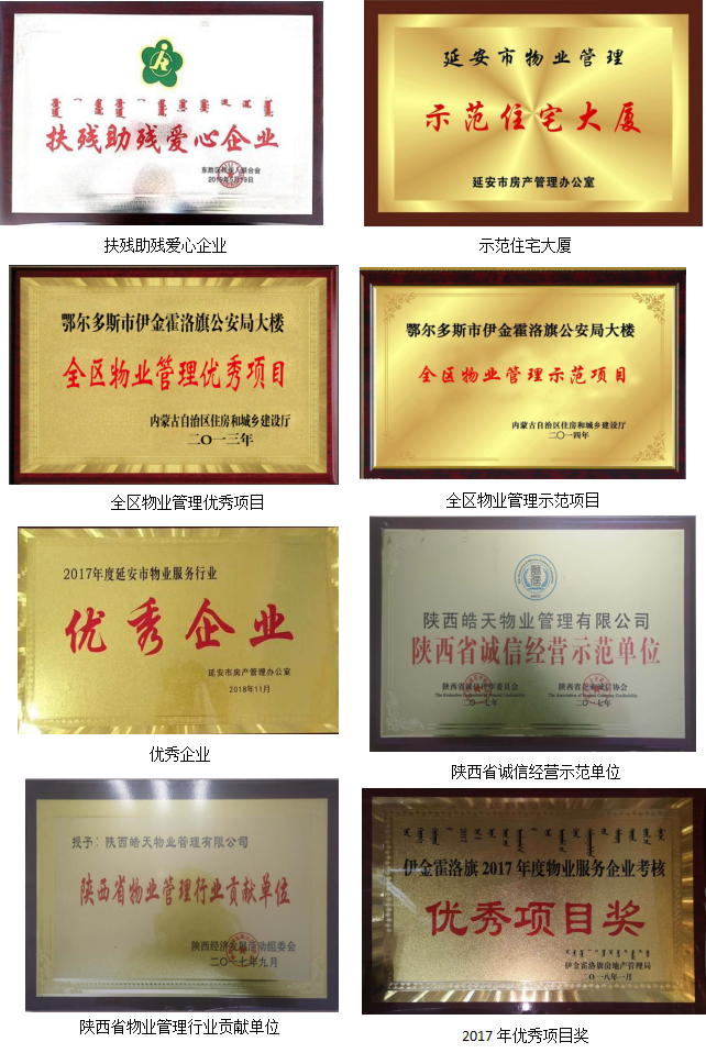 皓天荣誉(图8)