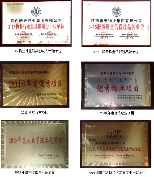 皓天荣誉(图9)