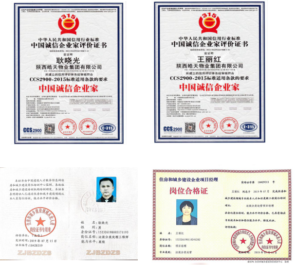 皓天荣誉(图11)