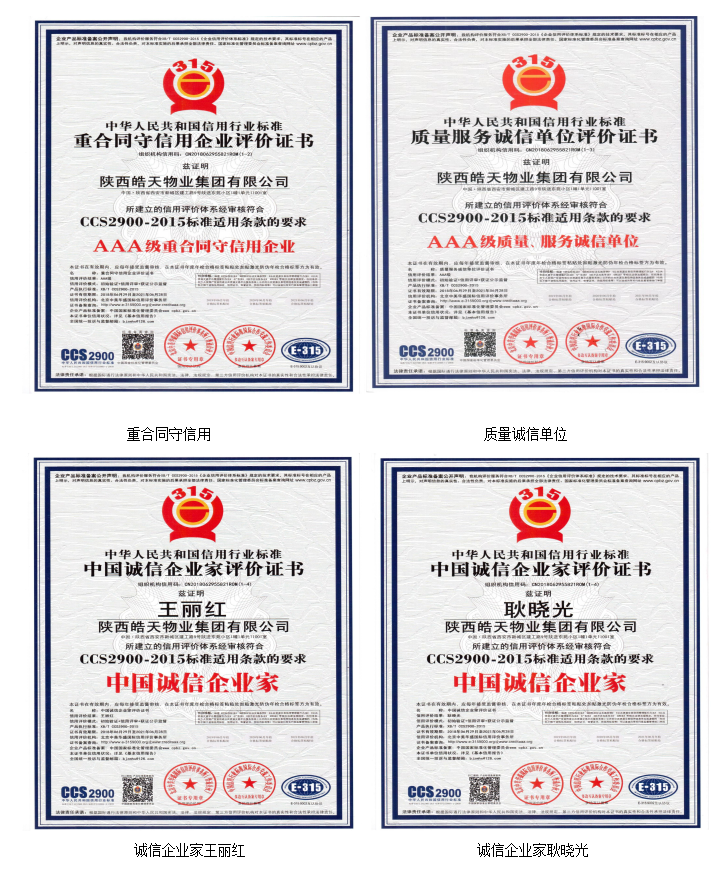 皓天荣誉(图2)